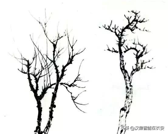 叶笔顺_笔顺叶的笔顺_与的笔顺怎么写与的笔顺怎么写