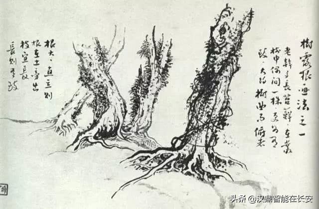 笔顺叶的笔顺_与的笔顺怎么写与的笔顺怎么写_叶笔顺