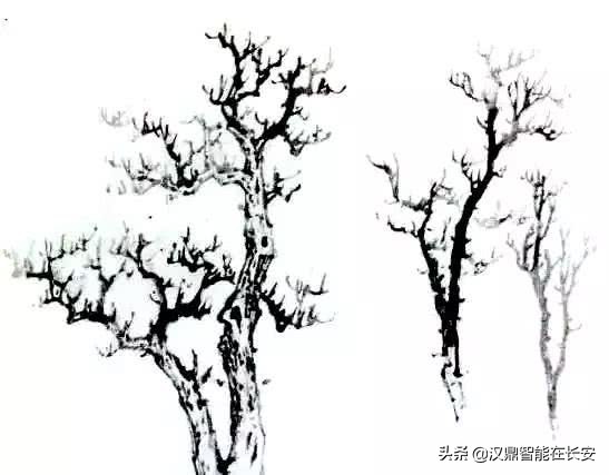 与的笔顺怎么写与的笔顺怎么写_笔顺叶的笔顺_叶笔顺