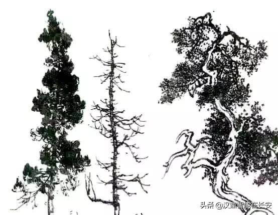 笔顺叶的笔顺_与的笔顺怎么写与的笔顺怎么写_叶笔顺