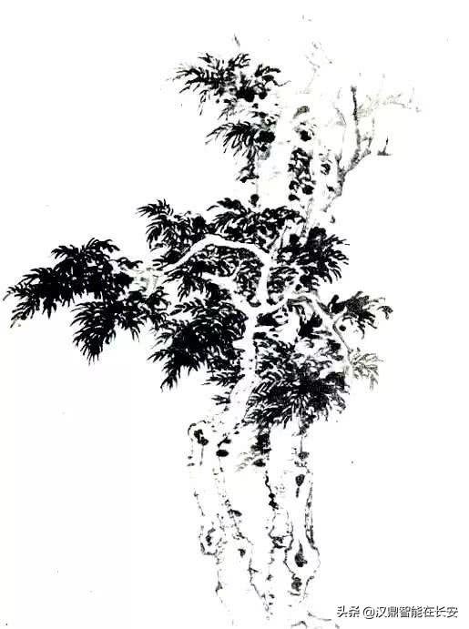 笔顺叶的笔顺_叶笔顺_与的笔顺怎么写与的笔顺怎么写