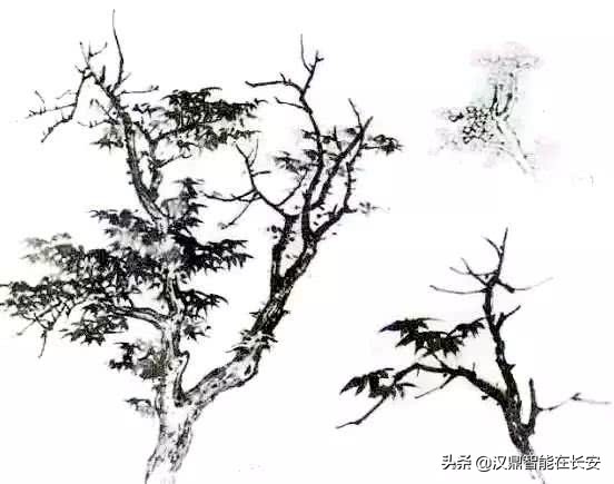 叶笔顺_笔顺叶的笔顺_与的笔顺怎么写与的笔顺怎么写