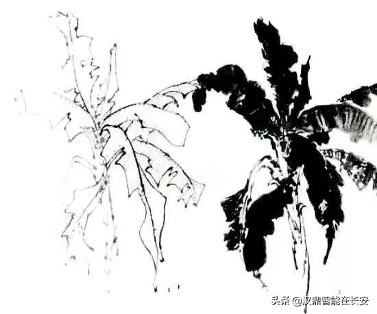 笔顺叶的笔顺_与的笔顺怎么写与的笔顺怎么写_叶笔顺