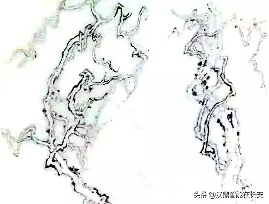 叶笔顺_与的笔顺怎么写与的笔顺怎么写_笔顺叶的笔顺