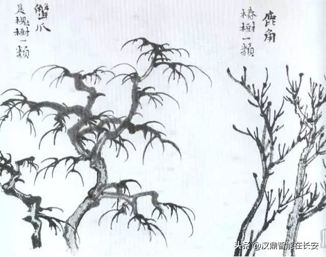 叶笔顺_笔顺叶的笔顺_与的笔顺怎么写与的笔顺怎么写