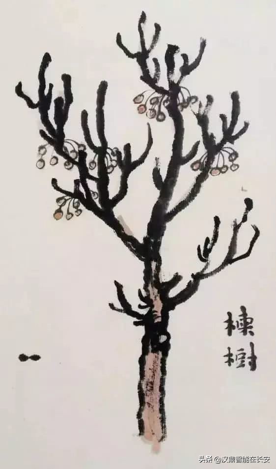 笔顺叶的笔顺_与的笔顺怎么写与的笔顺怎么写_叶笔顺