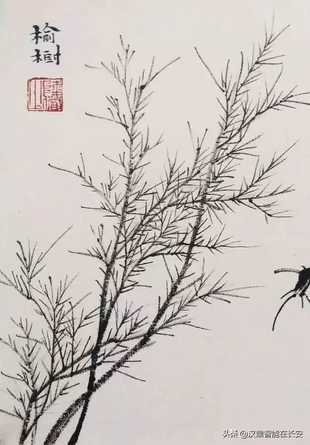 笔顺叶的笔顺_与的笔顺怎么写与的笔顺怎么写_叶笔顺