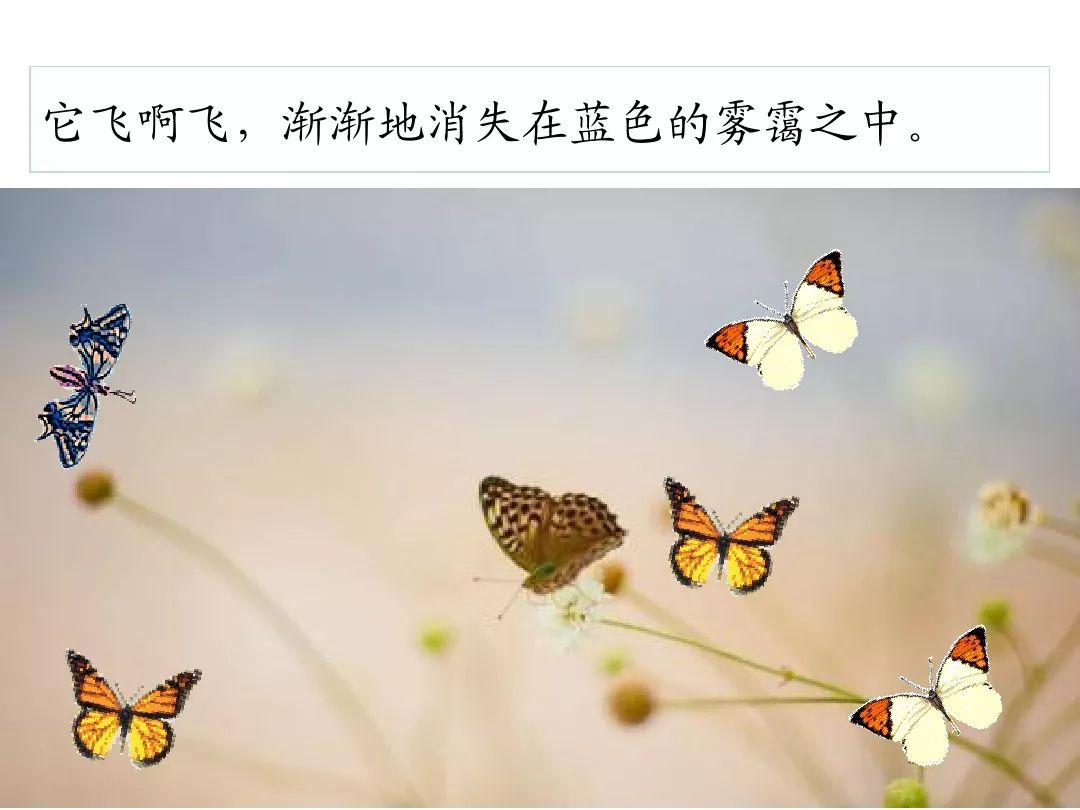 笔顺叶的笔顺_比的笔顺怎么写的笔顺_叶笔顺