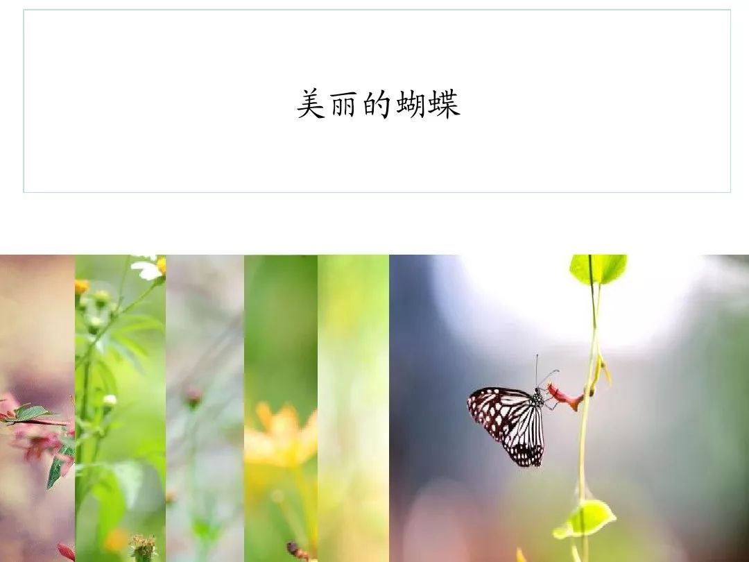 笔顺叶的笔顺_比的笔顺怎么写的笔顺_叶笔顺