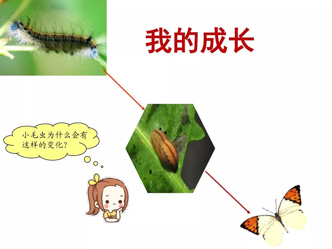 叶笔顺_比的笔顺怎么写的笔顺_笔顺叶的笔顺