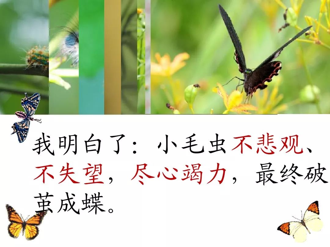 比的笔顺怎么写的笔顺_叶笔顺_笔顺叶的笔顺