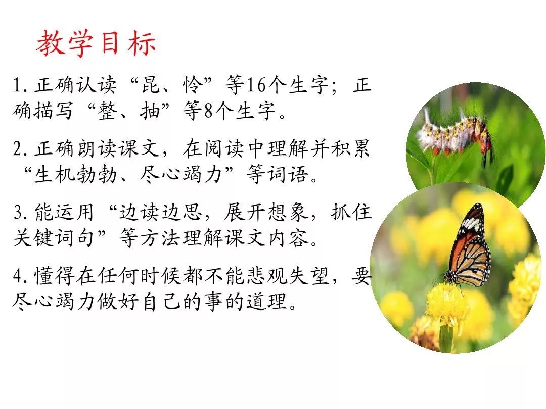 叶笔顺_比的笔顺怎么写的笔顺_笔顺叶的笔顺