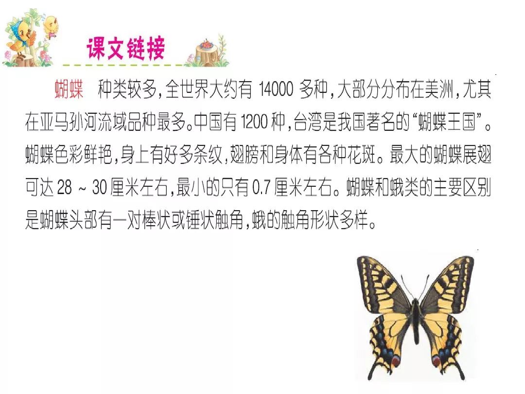 比的笔顺怎么写的笔顺_叶笔顺_笔顺叶的笔顺