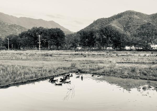 素笔顺和拼音_素笔顺_素笔顺正确写法