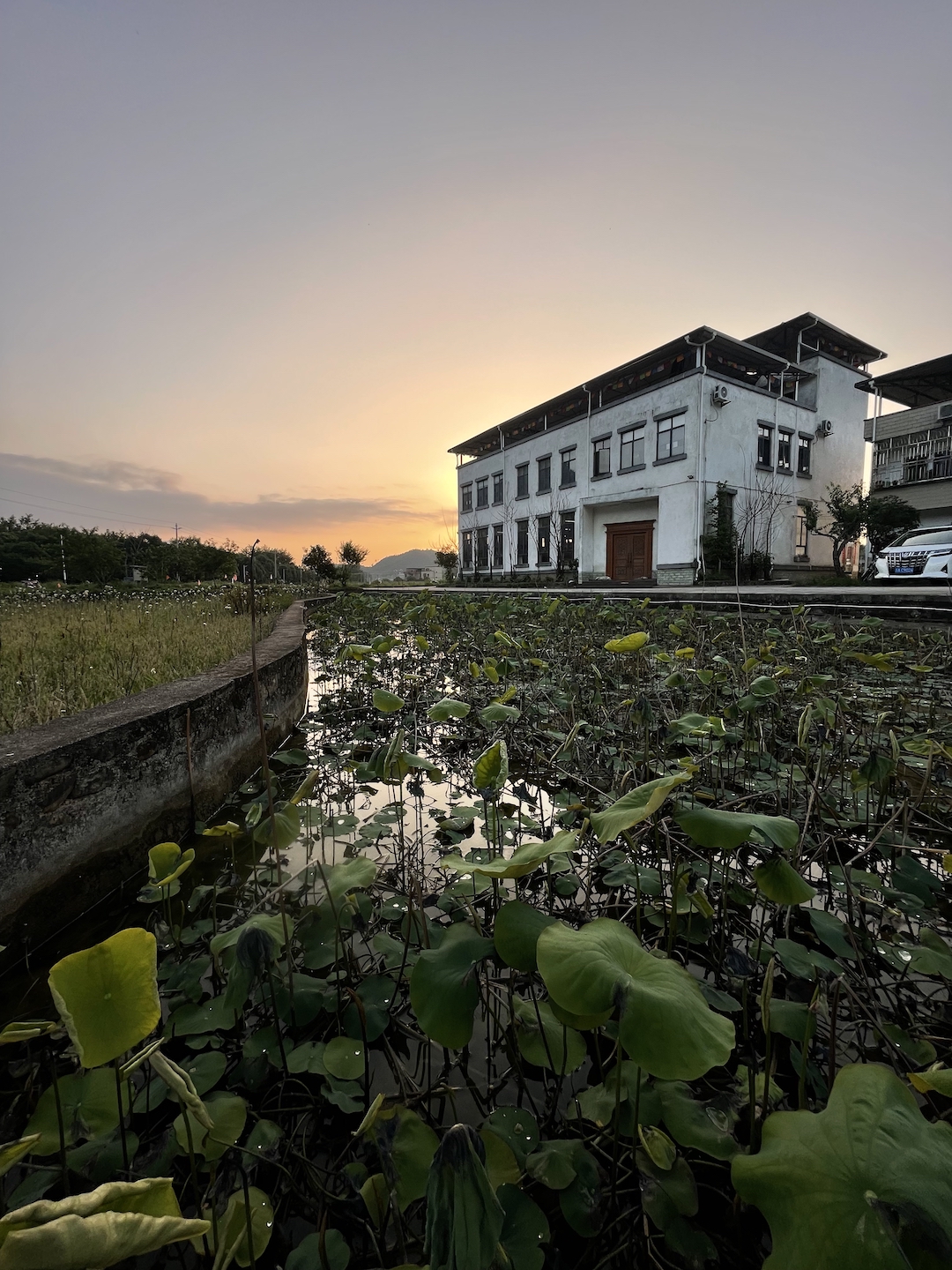 素笔顺和拼音_素笔顺_素笔顺正确写法