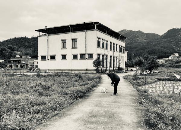 素笔顺_素笔顺正确写法_素笔顺和拼音