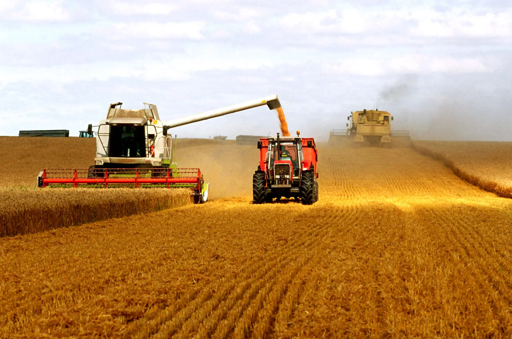 意思是打算用英语怎么说_意思是玉的字有哪些_么么是什么意思