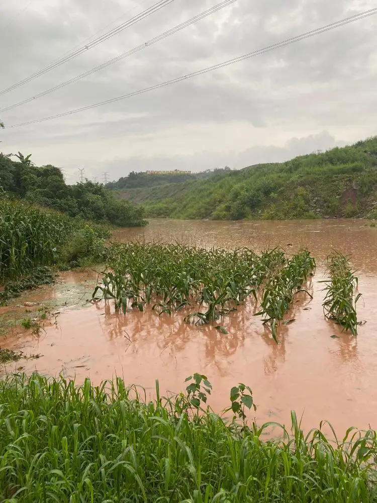 么么是什么意思_意思是打算用英语怎么说_意思是玉的字有哪些