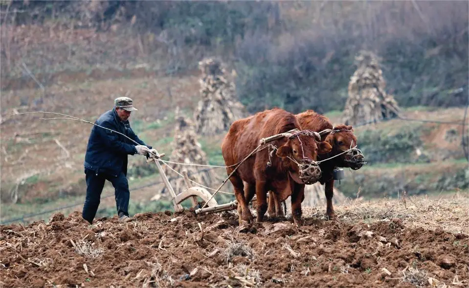 么么是什么意思_意思是玉的字有哪些_意思是打算用英语怎么说