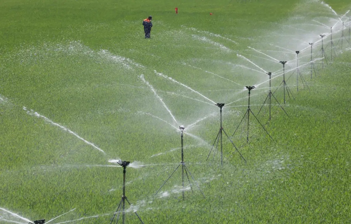 意思是玉的字有哪些_意思是打算用英语怎么说_么么是什么意思