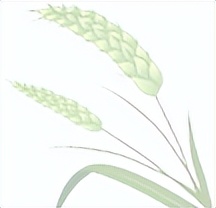 扩组词_扩组词拼音_扩组词怎么写