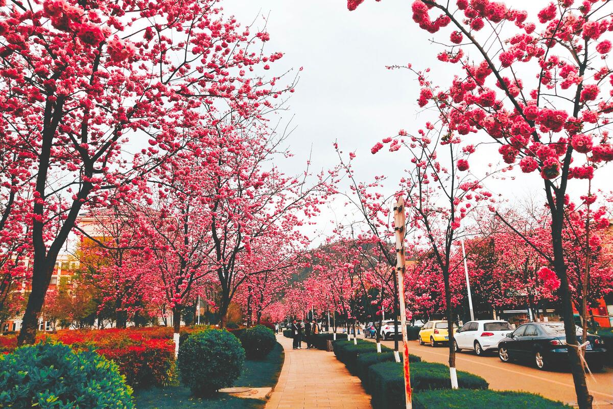 云南所有大学的分数线_云南大学分数线_云南各个大学分数线录取