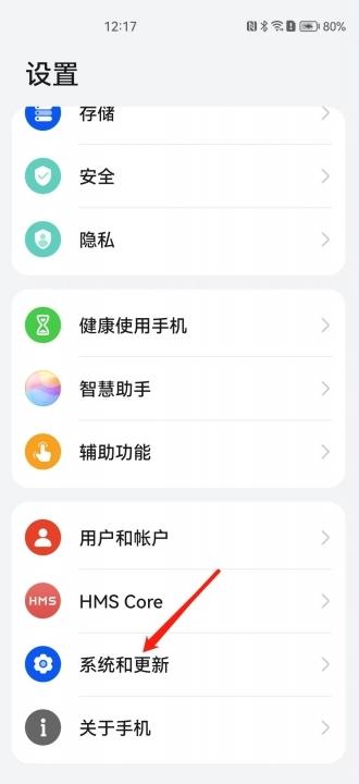 华为5gsa功能怎么打开-图1