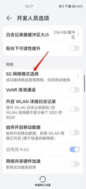华为5gsa功能怎么打开-图3