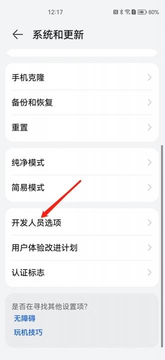 华为5gsa功能怎么打开-图2