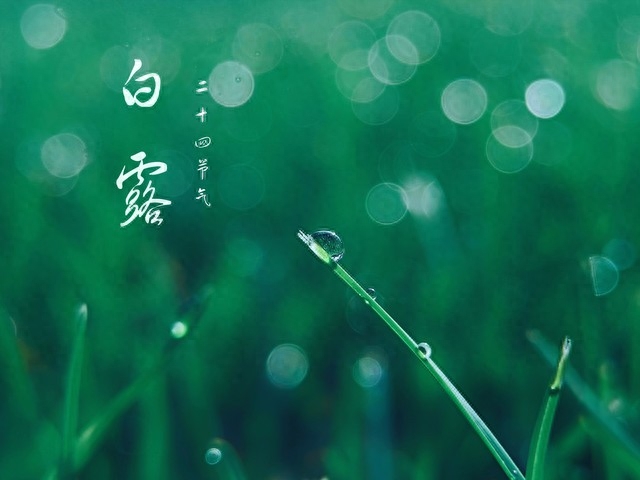 河南天气预报_天气预报河南开封_天气预报河南洛阳