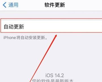 iPhone 14 Pro关闭软件自动更新 iphone怎么取消软件自动更新-图4