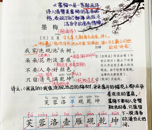 四年级下册的古诗有哪些