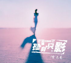 孤身只影不曾悔,身畔一缕幽思陪。 这句诗是什么意思?