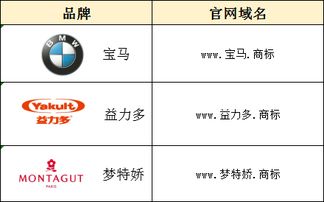 延续是什么意思