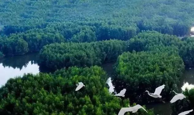 惠州好玩景点推荐_惠州旅游景点哪里好玩_惠州旅游景点排名前十