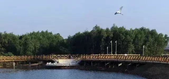 惠州好玩景点推荐_惠州旅游景点排名前十_惠州旅游景点哪里好玩