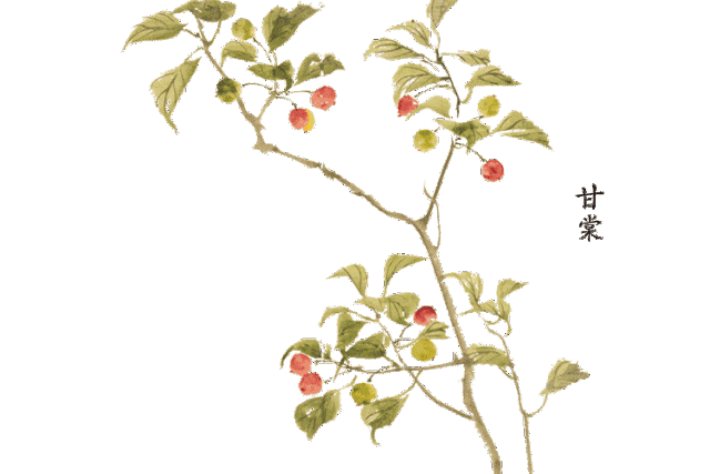 梨换个偏旁变成什么字_梨_梨水怎么熬可以治咳嗽化痰