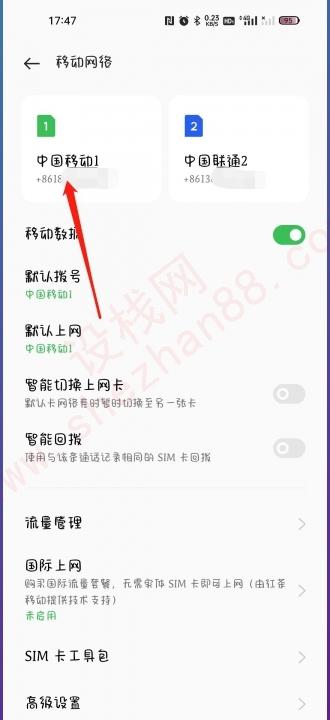 oppo手机恢复4G网络-图2