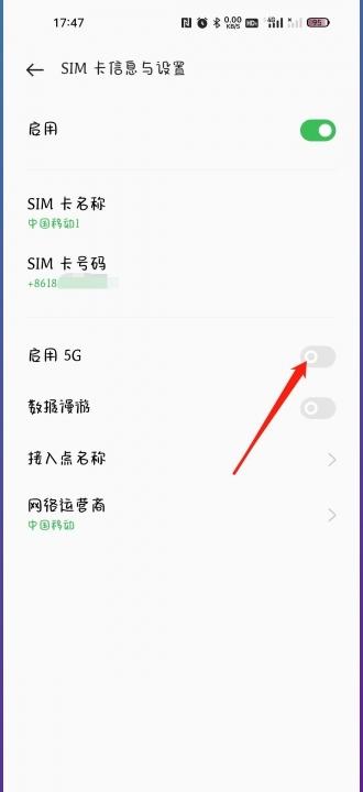 oppo手机恢复4G网络-图3