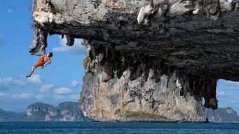 我们的夜生活写作文