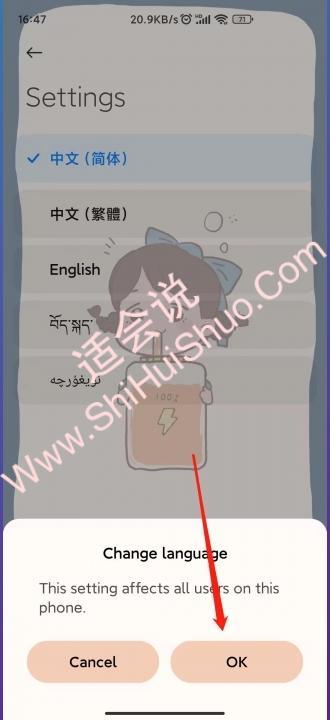 手机怎么恢复中文设置-图10