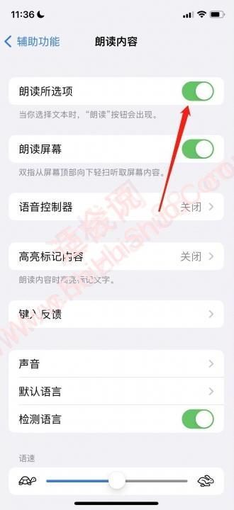 iphone朗读文字-图3