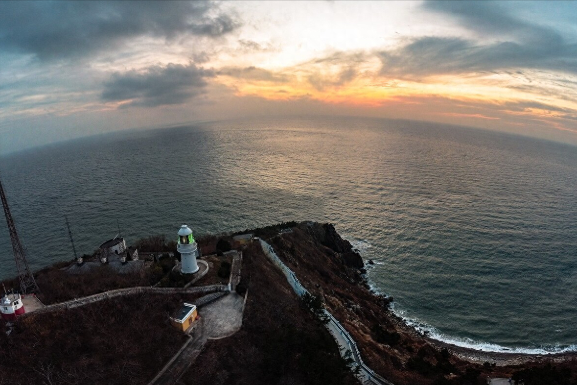 股海上的灯塔_灯塔水母_灯塔