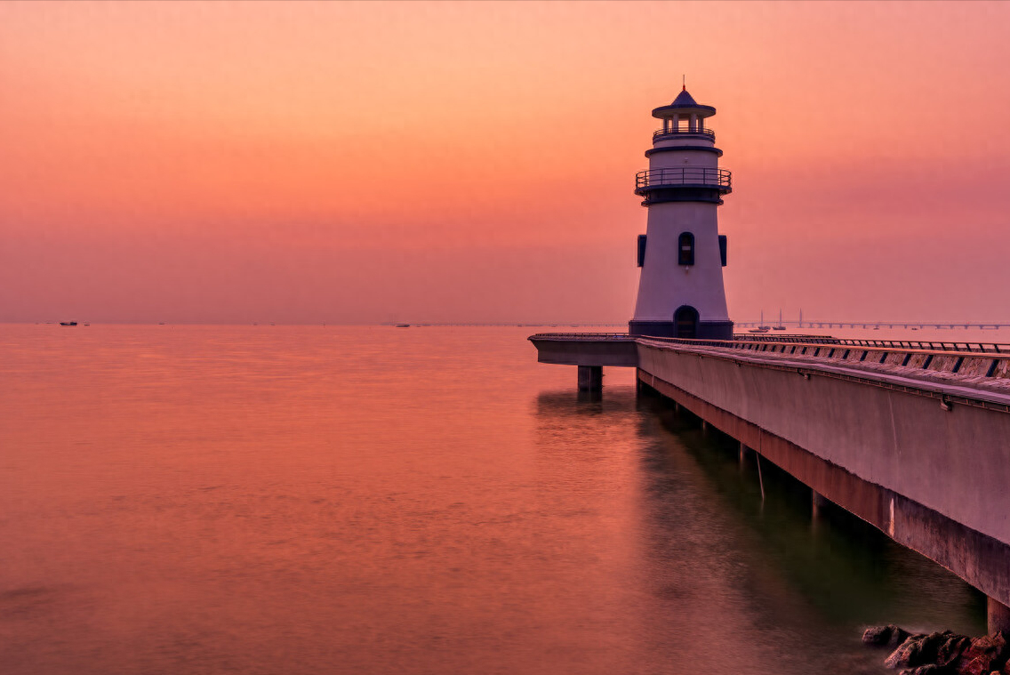 股海上的灯塔_灯塔_灯塔水母