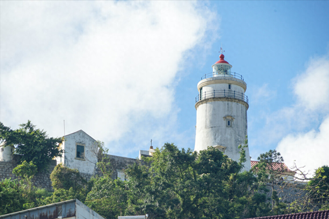 股海上的灯塔_灯塔_灯塔水母