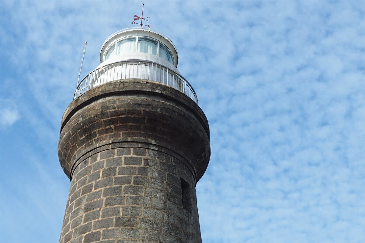 灯塔水母_灯塔_股海上的灯塔