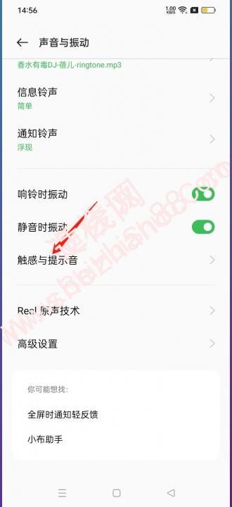 oppo按键音怎么设置无声-图2