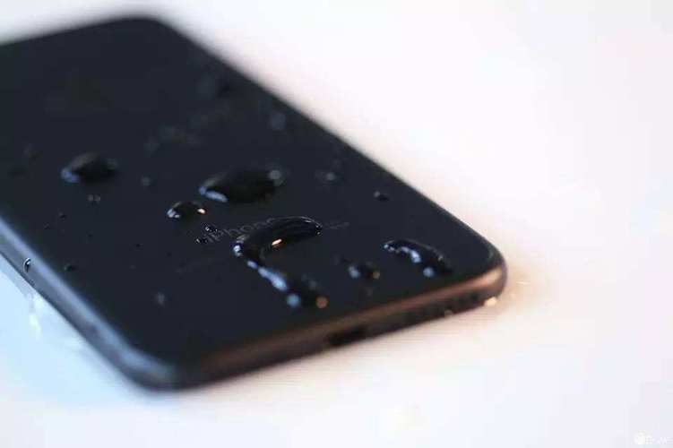 iPhone掉水里面部识别坏了怎么办-图2