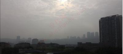 苹果手机照片改为满屏-图8