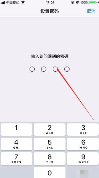 苹果13应用锁怎么设置-图5